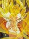 Gogeta.jpg (3656 octets)