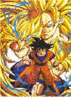 Goku1.jpg (48281 octets)