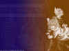 fond18b.jpg (58049 octets)