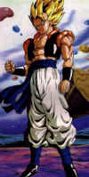 gogeta008.jpg (45637 octets)