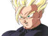 gohan008.jpg (39607 octets)