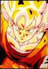 goku.jpg (29998 octets)