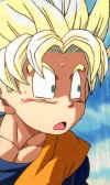 goten001.jpg (45835 octets)