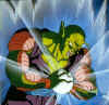 piccolo006.jpg (61593 octets)
