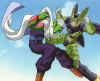 piccolo009.jpg (30670 octets)