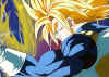 trunks148.jpg (64732 octets)