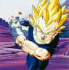 vegeta001.jpg (23513 octets)