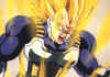 vegeta004.jpg (24736 octets)