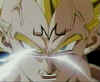 vegeta011.jpg (10980 octets)
